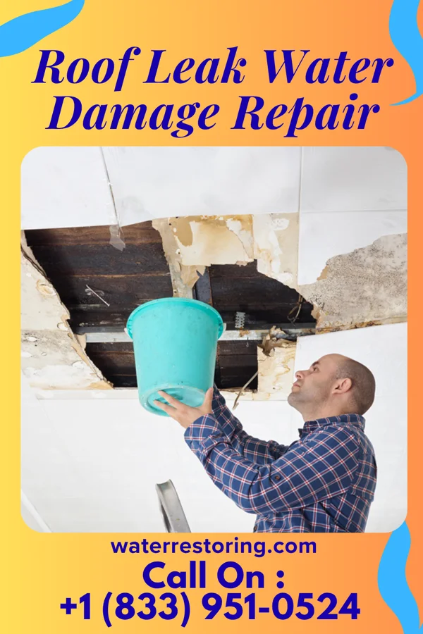 Roof Leak Water Damage Repair in Boulder Canyon, SD